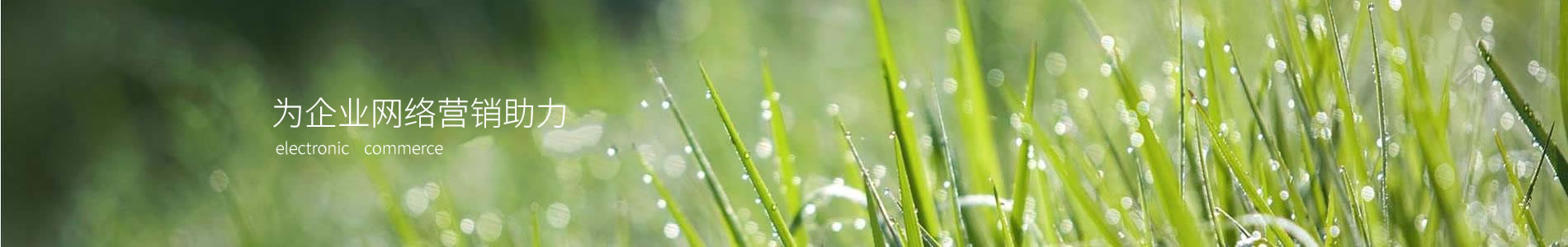 ӱٽܽƷ޹˾